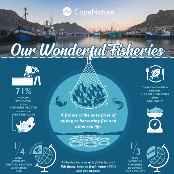 World Fisheries Day Capenature